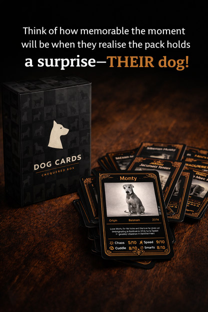 The Dog Deck