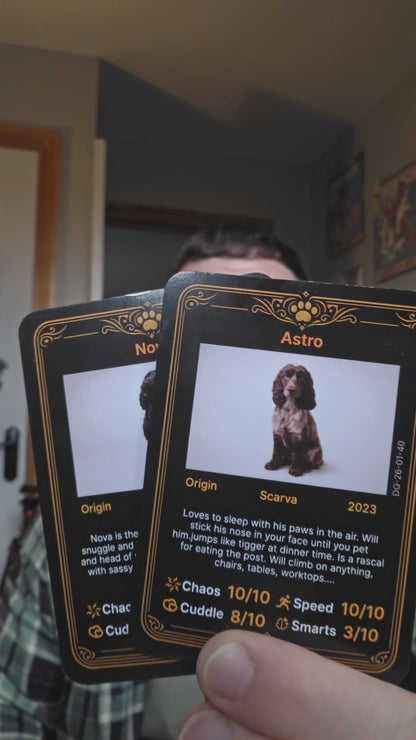 The Dog Deck